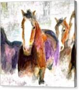 Snow Horses Canvas Print