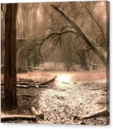 Snow In The Forest - Color Canvas Print