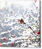 Snow On The Maple Canvas Print