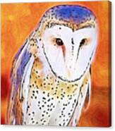 White Face Barn Owl Canvas Print