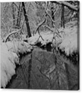Snowy River Canvas Print