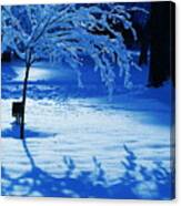 Snow Shadows Canvas Print