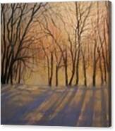 Snow Shadows Canvas Print