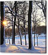 Snow Starred Grove Canvas Print