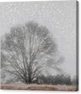 Snow Storm Tree Canvas Print