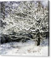 Snow Tree Canvas Print