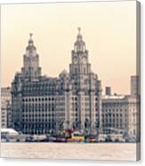 Snowdrop Dazzles In Front Of The Liverbirds Canvas Print