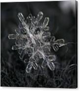 Snowflake Photo - January 18 2013 Grey Colors Canvas Print