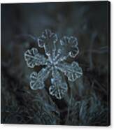 Snowflake Photo - Vega Canvas Print