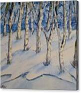 Snowy Birch Trees Canvas Print