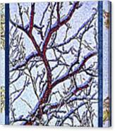 Snowy Branches Trio - Triptych Canvas Print