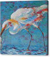 Snowy Egret's Prized Catch Canvas Print