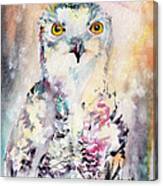 Snowy Owl Birds Of Prey Watercolor Canvas Print