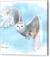 Snowy Owl In Flight Canvas Print