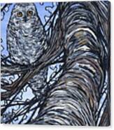 Snowy Owl In Tree Canvas Print