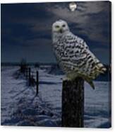 Snowy Owl On A Winter Night Canvas Print