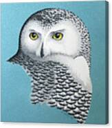 Snowy Owl Portrait 3 Canvas Print