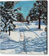 Snowy Road Home Canvas Print