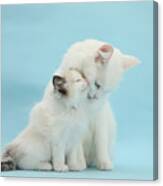 Snuggle Up With Mother Canvas Print