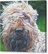 Soft Coated Wheaten Terrier Canvas Print