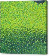 Soft Green Wet Trees Canvas Print