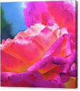 Soft Rose Bloom In Red And Purple Canvas Print
