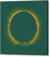 Solar Eclipse By Hinode Observes, Nasa 4 Canvas Print