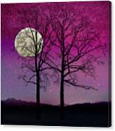 Solitude Ii Harvest Moon, Pink Opal Sky Stars Canvas Print
