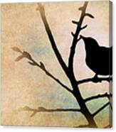 Song Bird Canvas Print