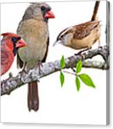 Songbirds On A Leafy Branch Canvas Print