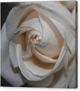 Soul Of A Rose Canvas Print