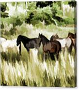 South Dakota Herd Of Horses Canvas Print