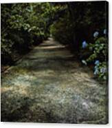 Southern Blue Canvas Print