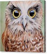 Southern Boobook Owl Canvas Print
