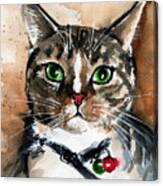 Sox The Rescued Tabby Cat Canvas Print