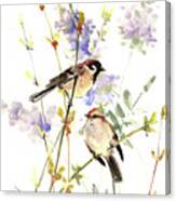 Sparrows And Spring Canvas Print