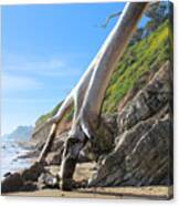 Spears On The Coast Canvas Print