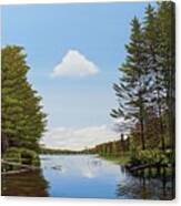 Spider Lake Pond Canvas Print