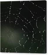 Spider's Web Canvas Print