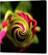 Spiral Canvas Print