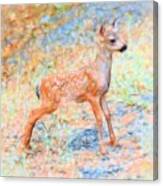 Spotted Fawn Canvas Print