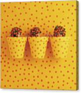 Spotted Pots Canvas Print