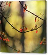 Spring Abstract Canvas Print