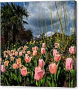 Spring At Duke Gardens Canvas Print