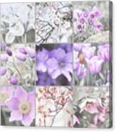 Spring Bloom Collage. Shabby Chic Collection Canvas Print