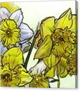 Spring Daffodils Canvas Print