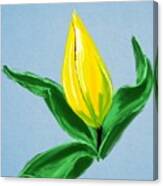 Spring Flower Canvas Print