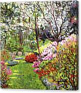 Spring Forest Vision Canvas Print