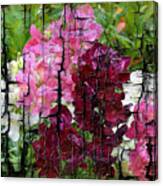 Spring Garden H131716 Canvas Print