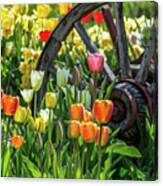 Spring Glory Canvas Print